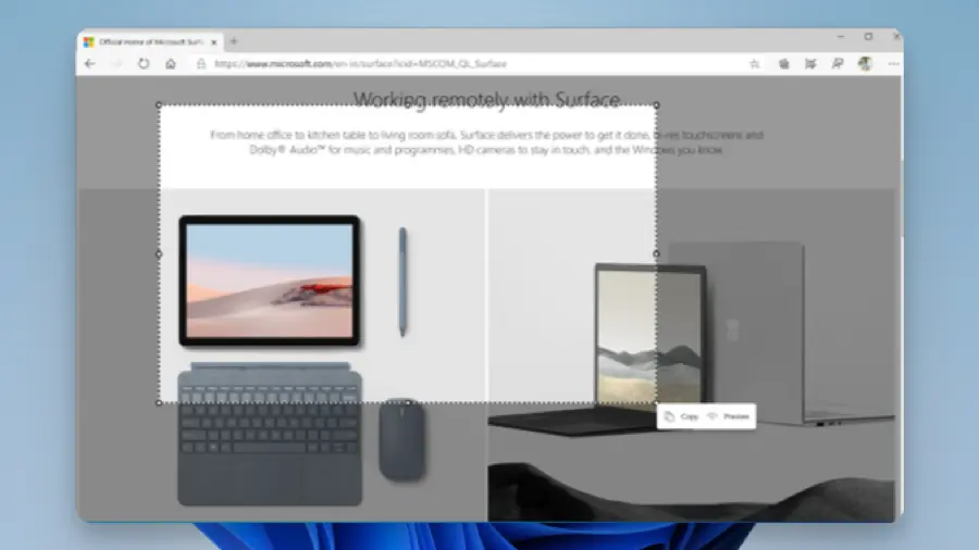 Apps - Microsoft Edge Screenshot 02